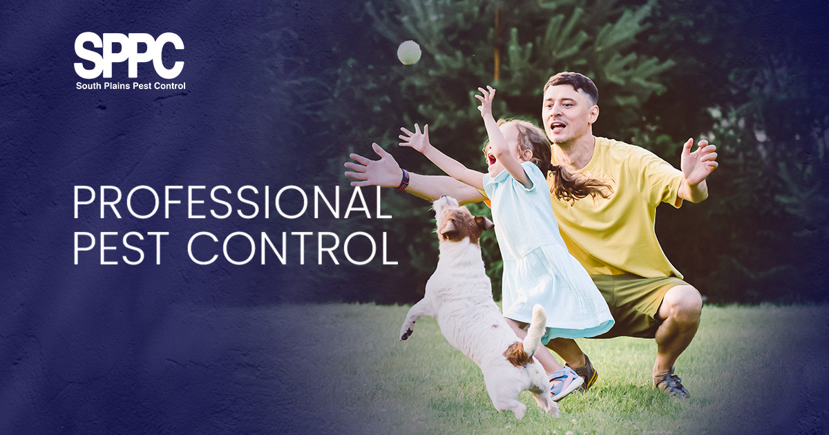 About Us | South Plains Pest Control